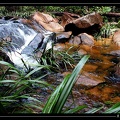 Crique-Tatou-3