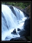 fourgassie-01