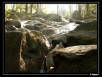fourgassie-02