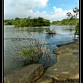 pointe-maripa-1