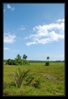 savane-Iracoubo